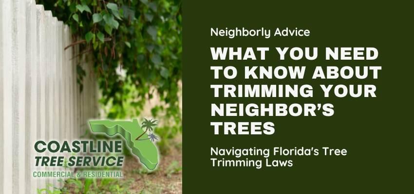 tree trimming in Fort Myers, Naples, Cape Coral, Estero, Bonita Springs, Punta Gorda (SW Florida) - SWFL