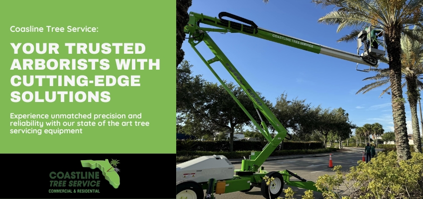 Tree Service