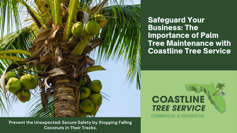 fort myers palm tree maintenance services