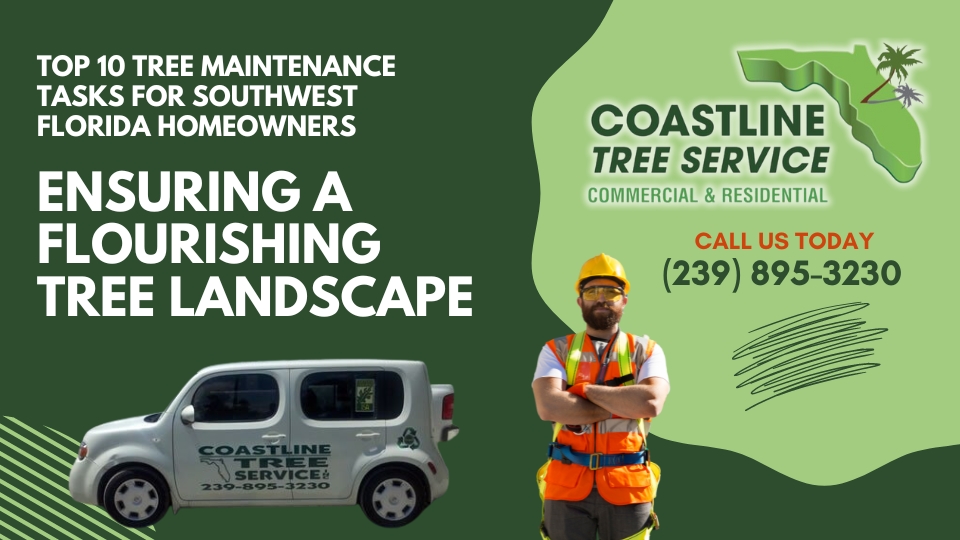 tree maintenance services