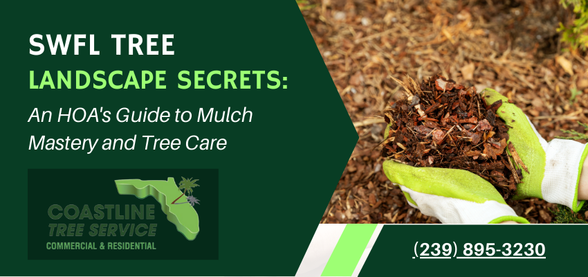 Fort Myers Tree Mulch Services (Naples, Estero, Bonita Springs, Cape Coral, Sanibel)