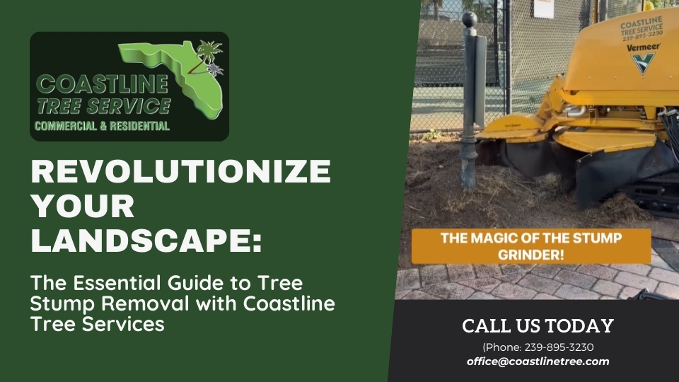 tree removal services