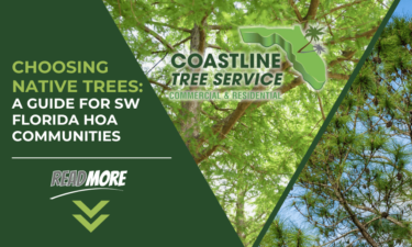 fort myers hoa tree services including naples, cape coral, estero, bonita springs & sanibel