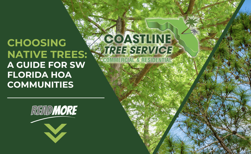 fort myers hoa tree services including naples, cape coral, estero, bonita springs & sanibel