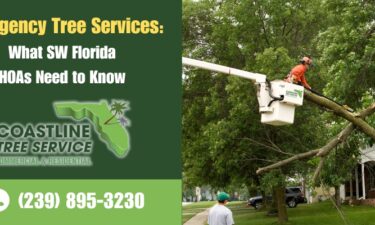 swfl emergency tree services (fort myers, Naples, cape coral)