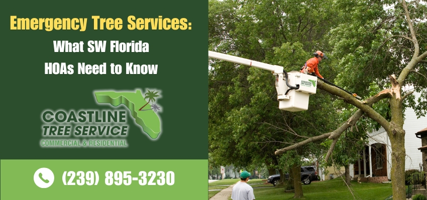 swfl emergency tree services (fort myers, Naples, cape coral)