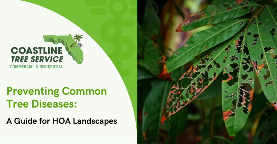 HOA Tree Disease Services