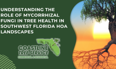 fort myers tree disease services