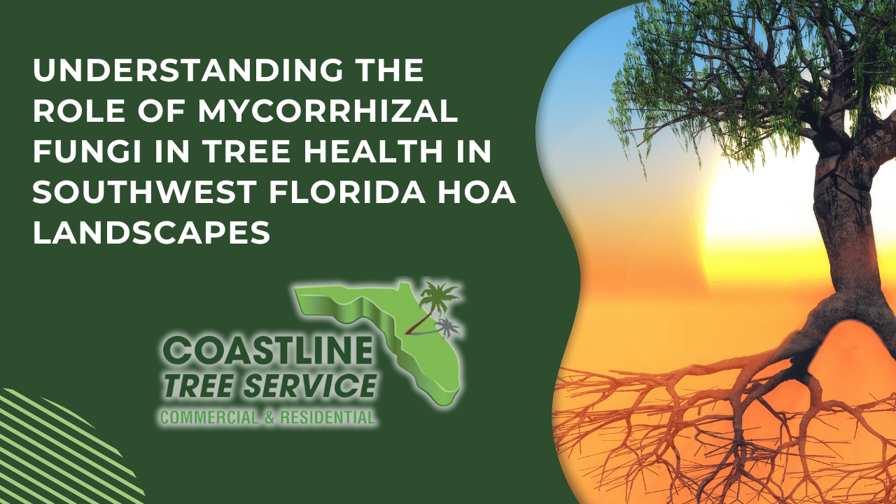 fort myers tree disease services