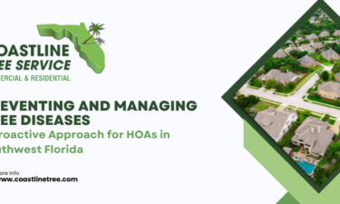 Fort Myers HOA Tree Services (Naples, Marco Island, Cape Coral, Punta Gorda)