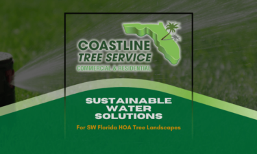 SW Florida HOA Tree Services in Fort Myers, Naples, Cape Coral, Marco Island, Punta Gorda