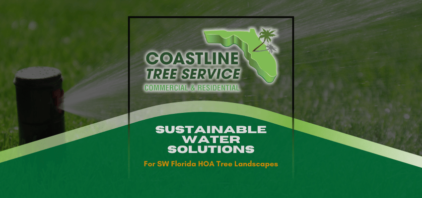 SW Florida HOA Tree Services in Fort Myers, Naples, Cape Coral, Marco Island, Punta Gorda