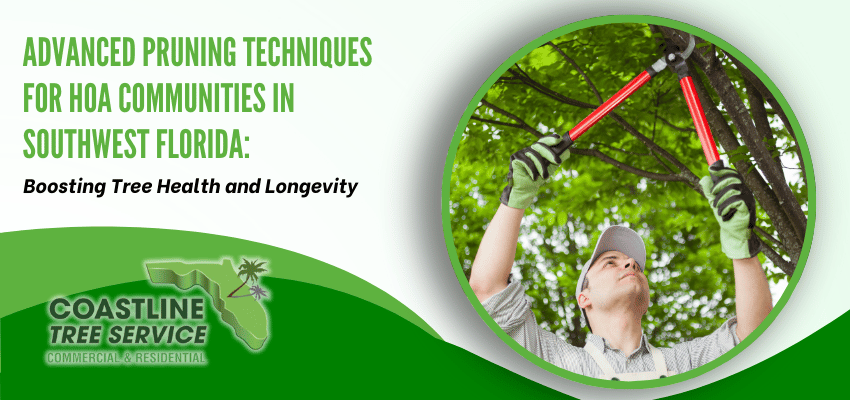 Fort Myers Tree Pruning Services in Bonita Springs and Naples