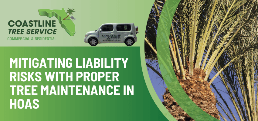 Proper Fort Myers HOA Tree Maintenance Services