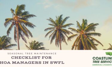 SW Florida HOA Tree Maintenance Services