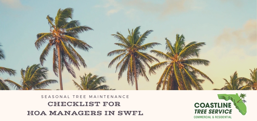 SW Florida HOA Tree Maintenance Services