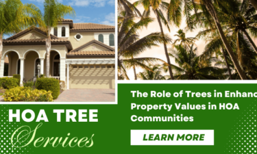 Fort Myers HOA Tree Services in Naples, Cape Coral, Estero, Marco Island and all of SW Florida