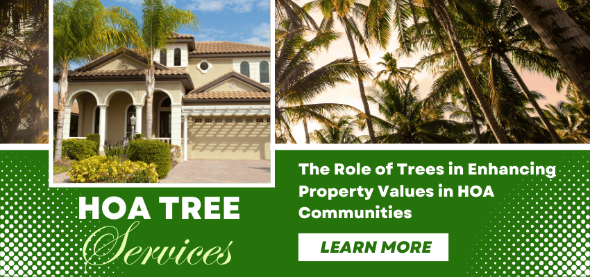 Fort Myers HOA Tree Services in Naples, Cape Coral, Estero, Marco Island and all of SW Florida