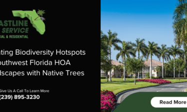 SW Florida HOA Tree Services in Naples, Marco Island, Bonita Springs, Estero, Cape Coral & Fort Myers