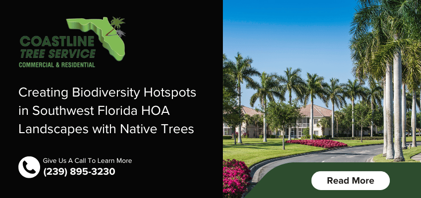 SW Florida HOA Tree Services in Naples, Marco Island, Bonita Springs, Estero, Cape Coral & Fort Myers