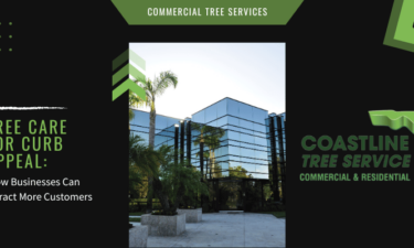 fort myers commercial tree services in naples, cape coral, estero, bonita springs and marco island.