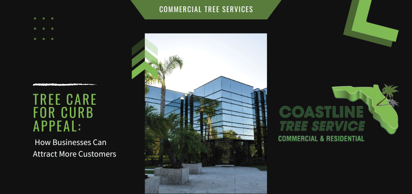 fort myers commercial tree services in naples, cape coral, estero, bonita springs and marco island.