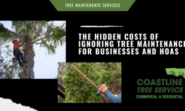 Tree Maintenance Services in Fort Myers, Naples, Marco Island, Estero, Bonita Springs, Cape Coral. SW Florida Tree Maintenance Services