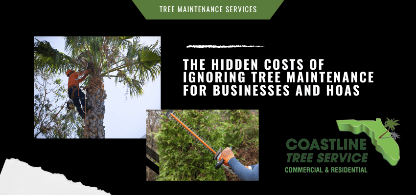 Tree Maintenance Services in Fort Myers, Naples, Marco Island, Estero, Bonita Springs, Cape Coral. SW Florida Tree Maintenance Services