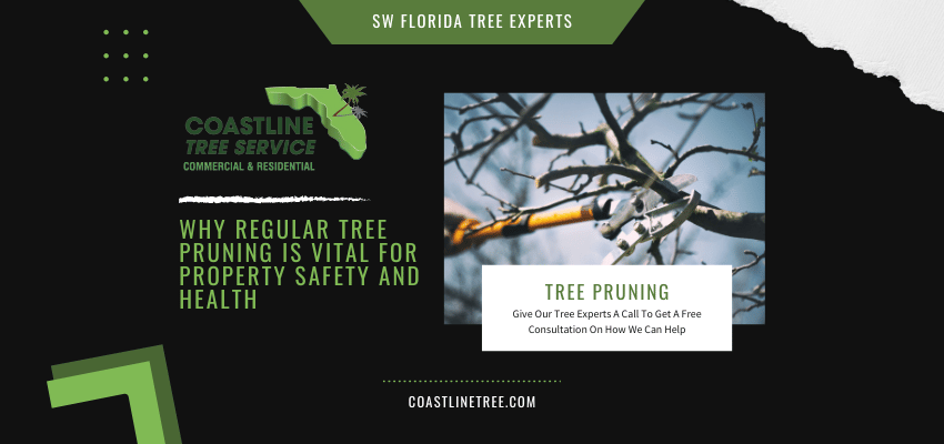 Fort Myers Tree Pruning Services in SW Florida