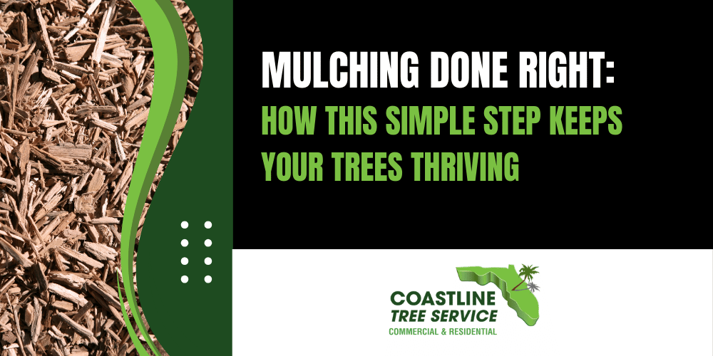 Fort Myers Tree Mulching Services in Marco Island, Naples, Cape Coral, SWFL